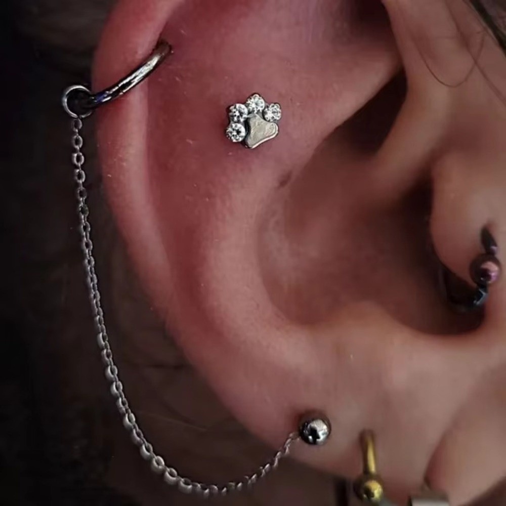 Rantai Hidung Titanium Rantai  - Body Jewelry And Piercing ulasan dan harga